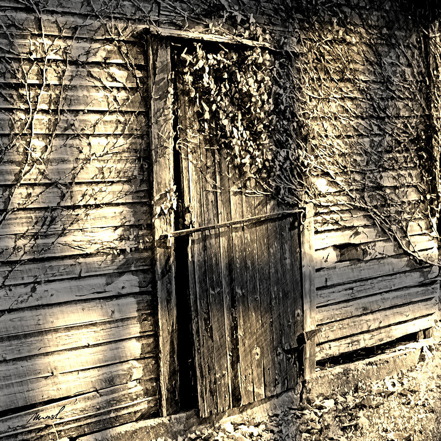 Rustic Door #1 Photograph by The Art of Marsha Charlebois
