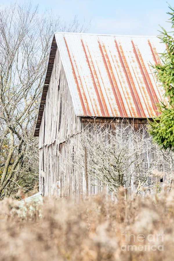 Rustic Old Barn Photograph by Cheryl Baxter