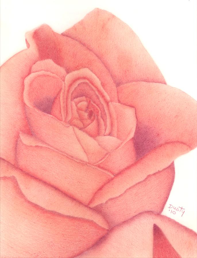 Rustic Rose Drawing by Dusty Reed