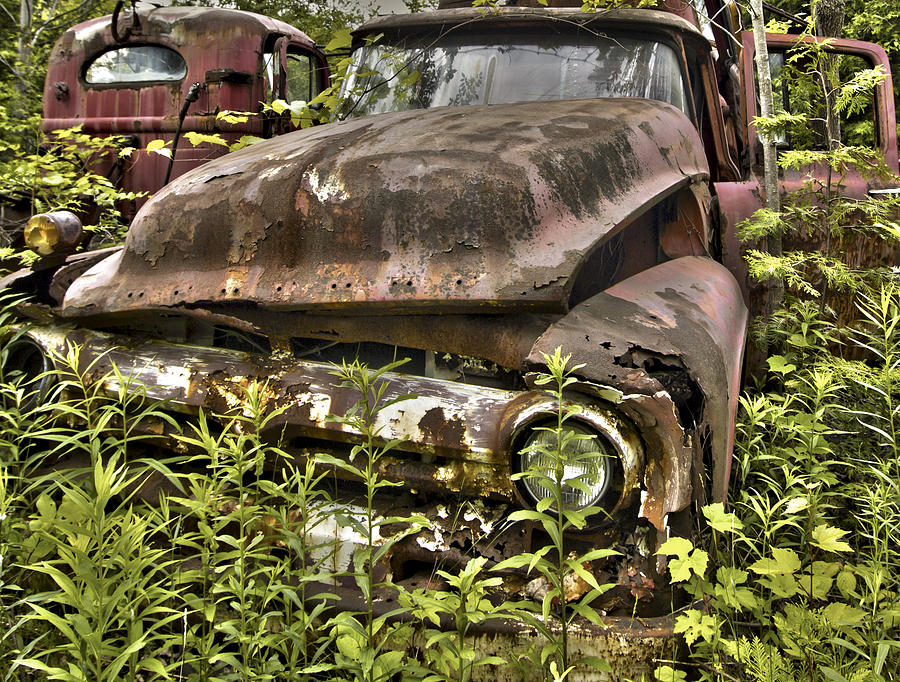 Rusty and Crusty Truck #1 Photograph by Nick Mares