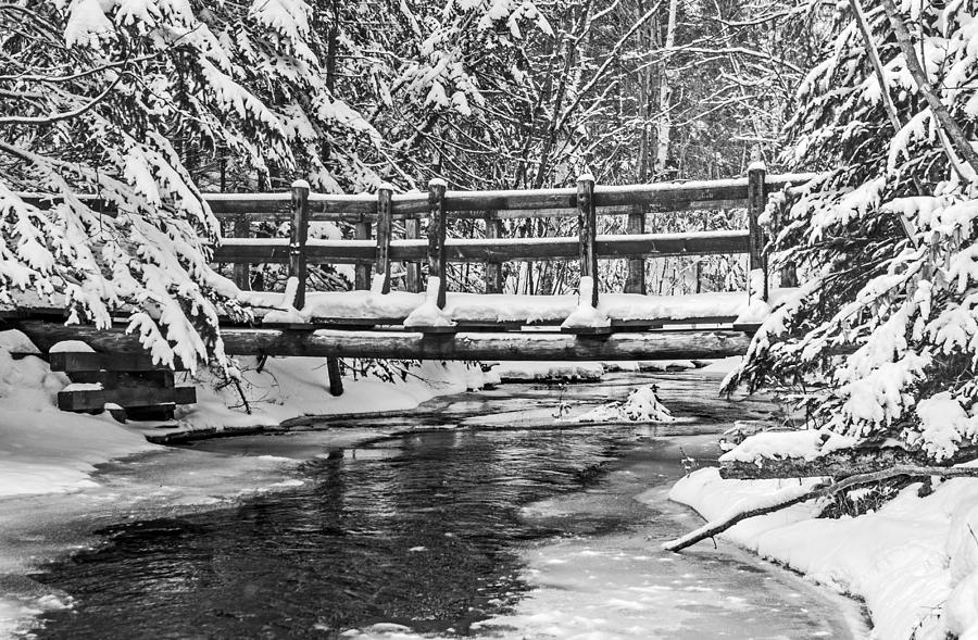 Sable Creek Footbridge #1 Photograph by Gary McCormick