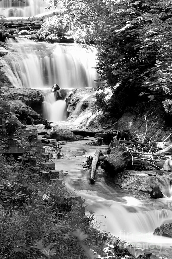 Beach Photograph - Sable Falls in Black and White #1 by Twenty Two North Photography