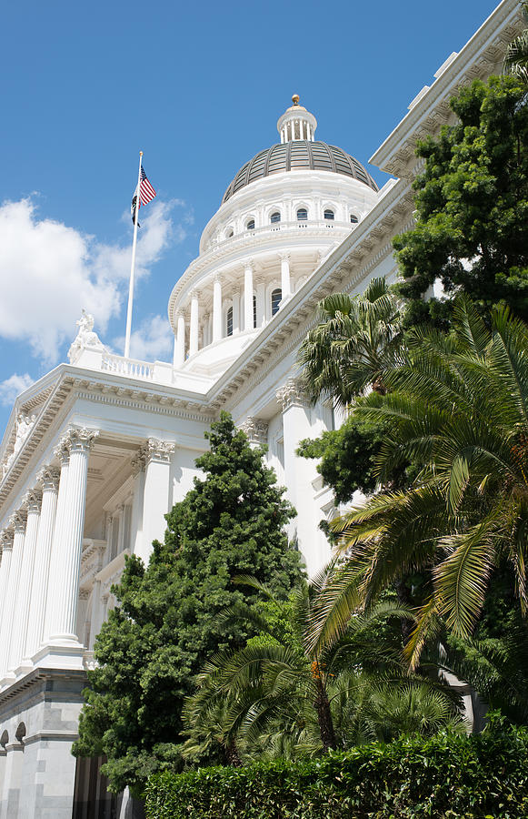 Summer Photograph - Sacramento Capitol Building of California #1 by Brandon Bourdages