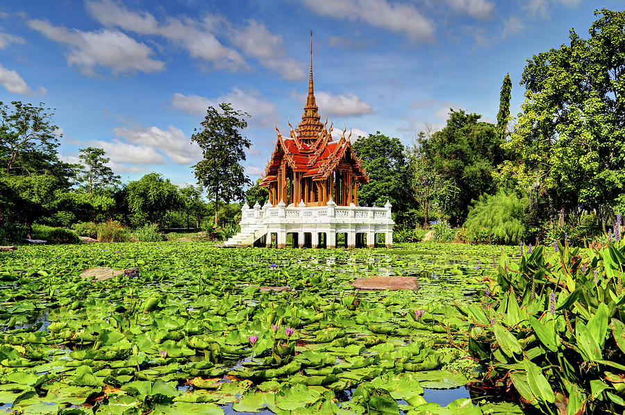 Sacred Lotus Pond #1 Photograph by Igor Prahin