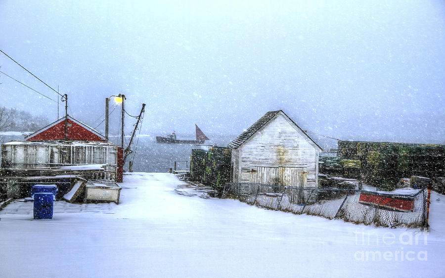 Safe Harbor Maine 2 #1 Photograph by Brenda Giasson