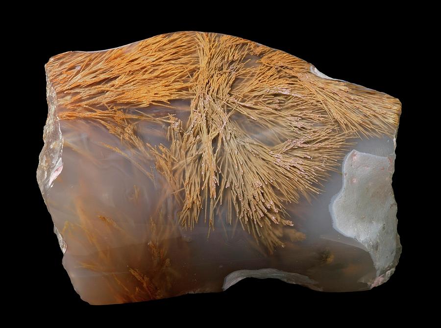 Sagenitic Agate #1 Photograph by Natural History Museum, London/science Photo Library