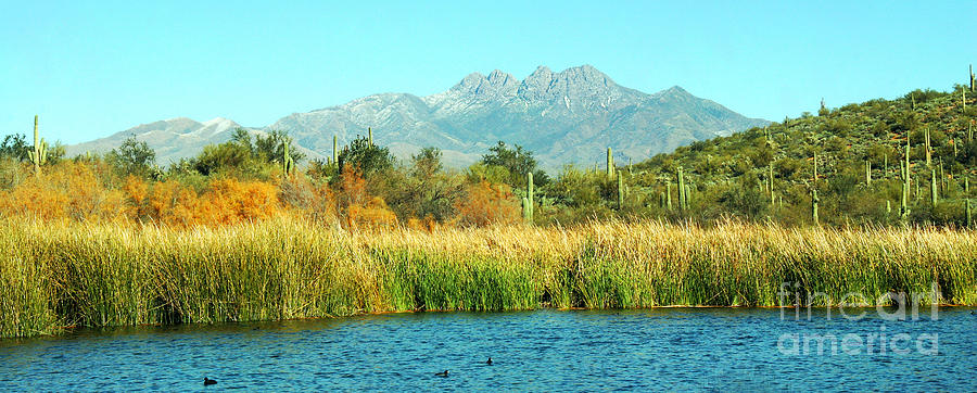 SAGUARO Lake AZ #2 Photograph by Afrodita Ellerman