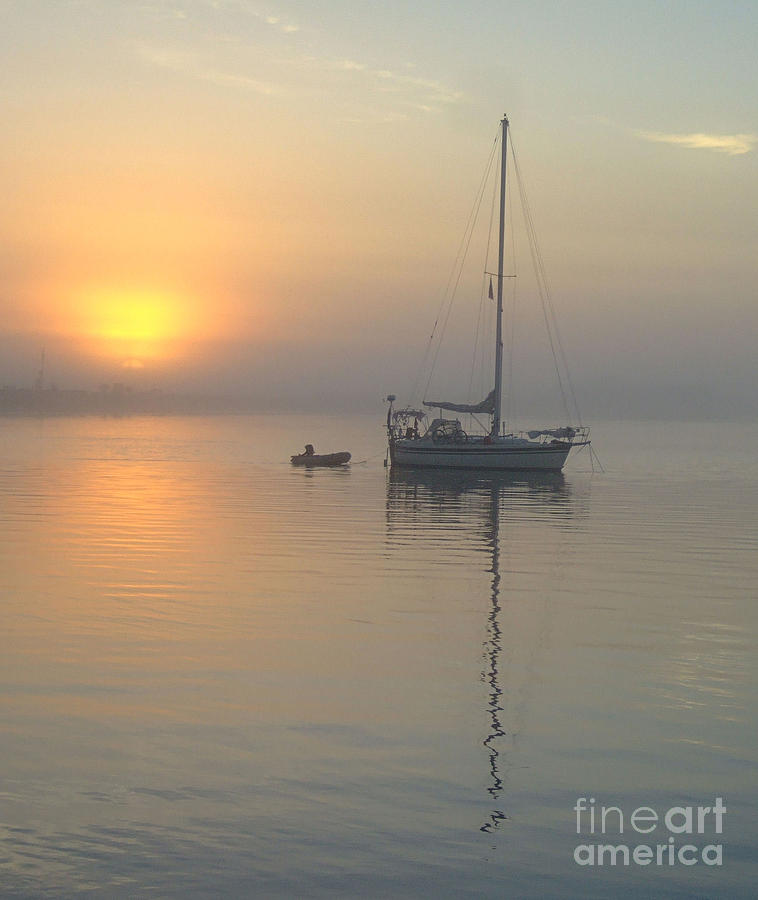 Sailboat Reflection #1 Photograph by Bob Sample