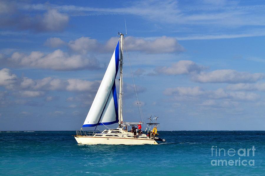 Sailing #1 Photograph by Judy Wolinsky