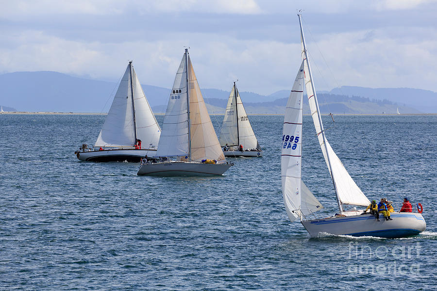 Boat Photograph - Sailing yachts in a close race #2 by Louise Heusinkveld