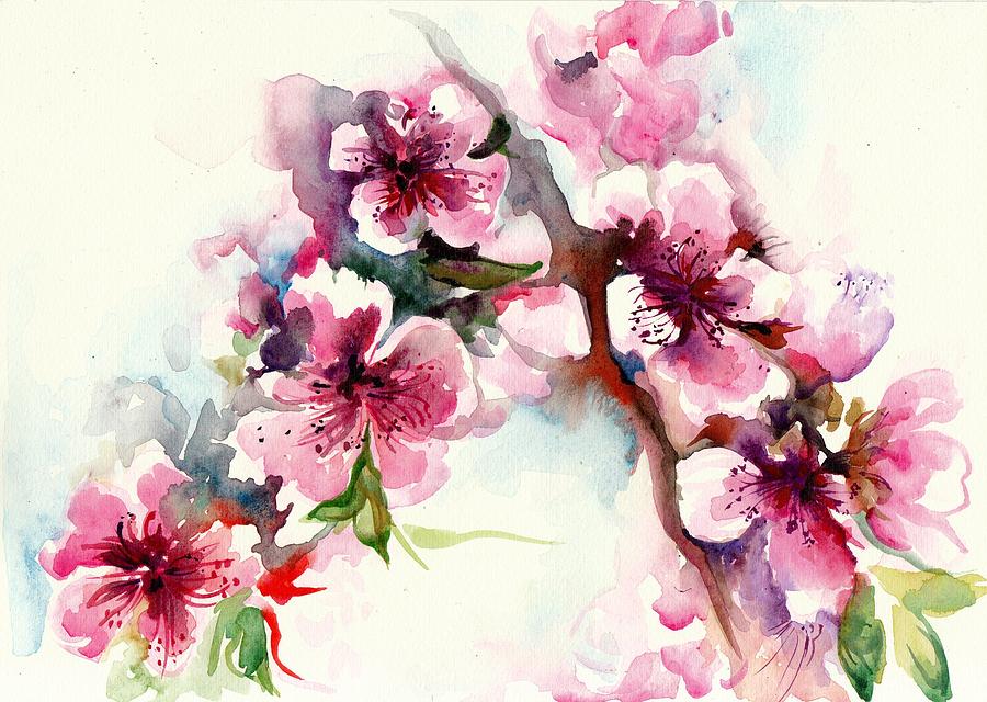 Flower Painting - Sakura - Cherry Tree Blossom Watercolor #2 by Tiberiu Soos