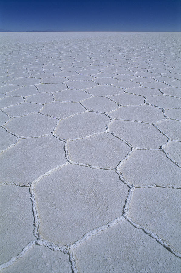 Salar De Uyuni Salt Pan Bolivia #1 Photograph by Grant  Dixon