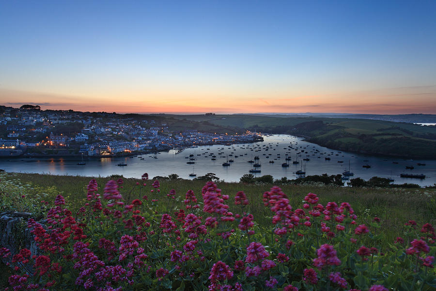 Nature Photograph - Salcombe  #4 by Ollie Taylor