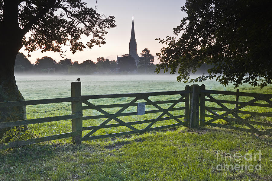 Architecture Photograph - Salisbury cathedral at dawn. #1 by Julian Elliott