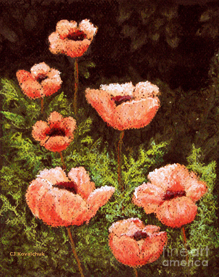 Salmon Poppies Pastel by Carol Kovalchuk