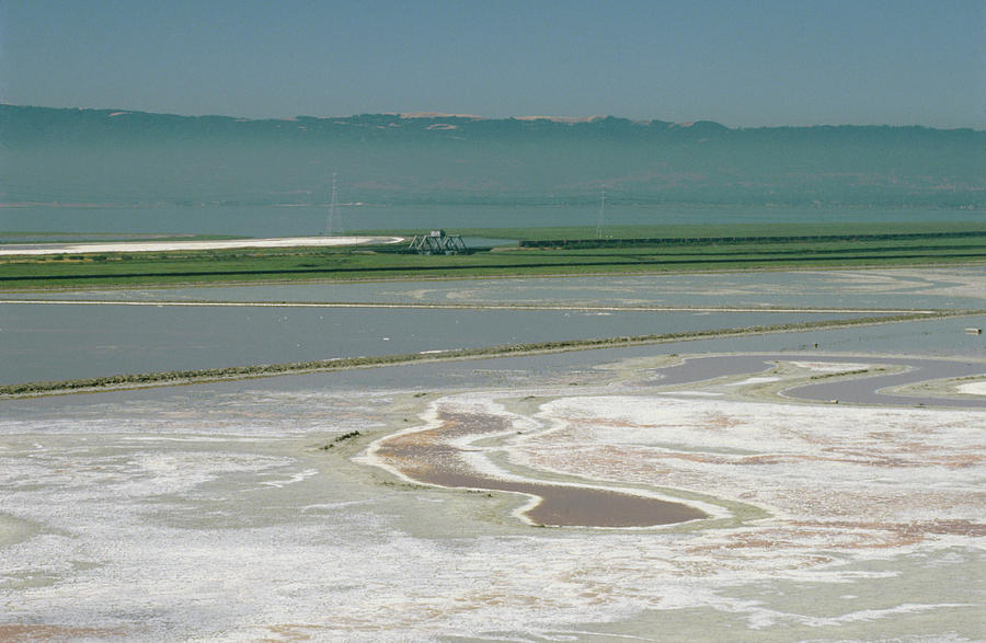 Salt Evaporation Pond Photograph - Salt Production #1 by David Parker/science Photo Library