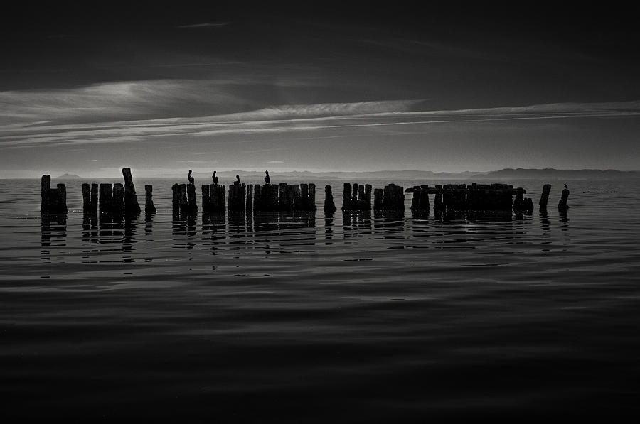 Black And White Photograph - Salton Sea piles #1 by Ralph Vazquez