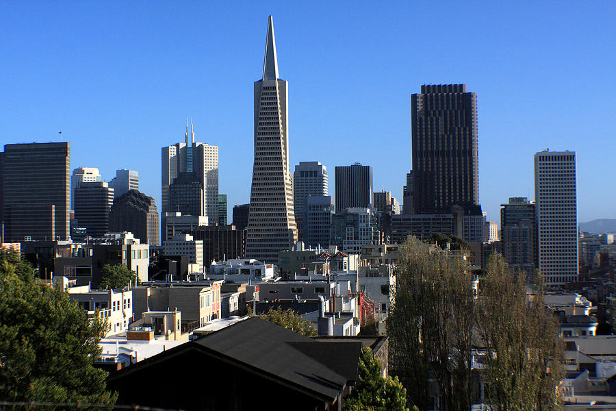 San Francisco Skyline Photograph by Aidan Moran
