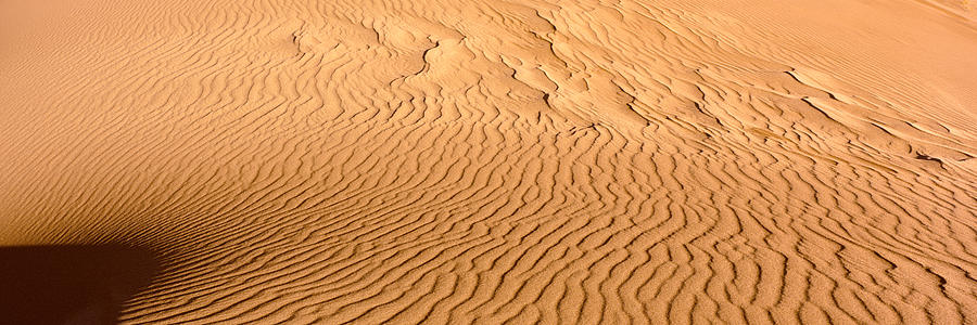 Great Sand Dunes National Park Photograph - Sand Dunes In A Desert, Great Sand #1 by Panoramic Images