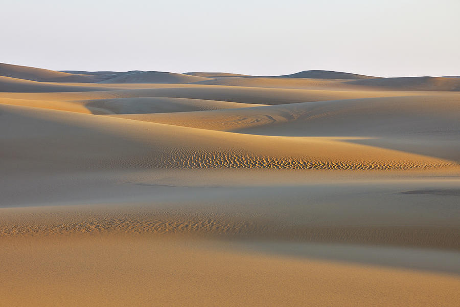 Sand Dunes #1 Photograph by Raimund Linke