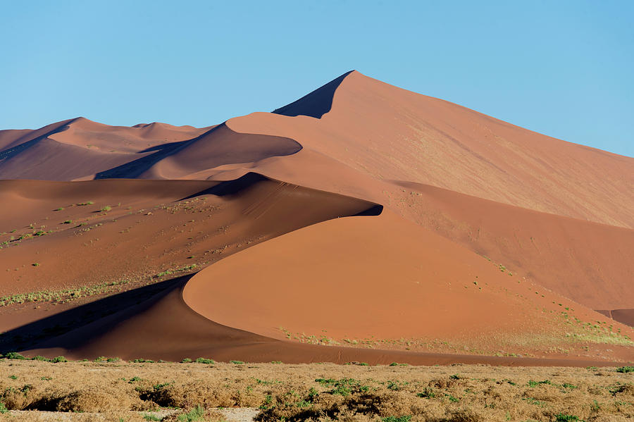 Sand Dunes, Sossusvlei, Namib Desert #1 Photograph by Panoramic Images