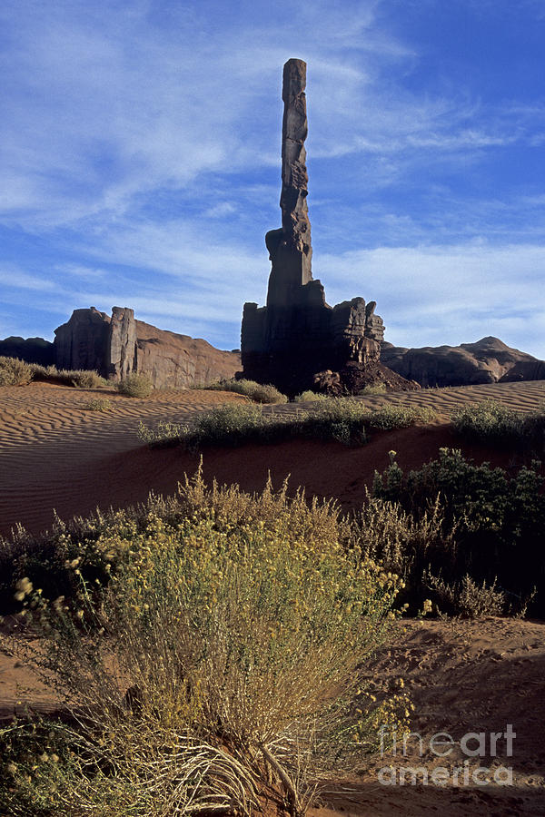 Sand Dunes Totem Pole #1 Photograph by Fred Stearns