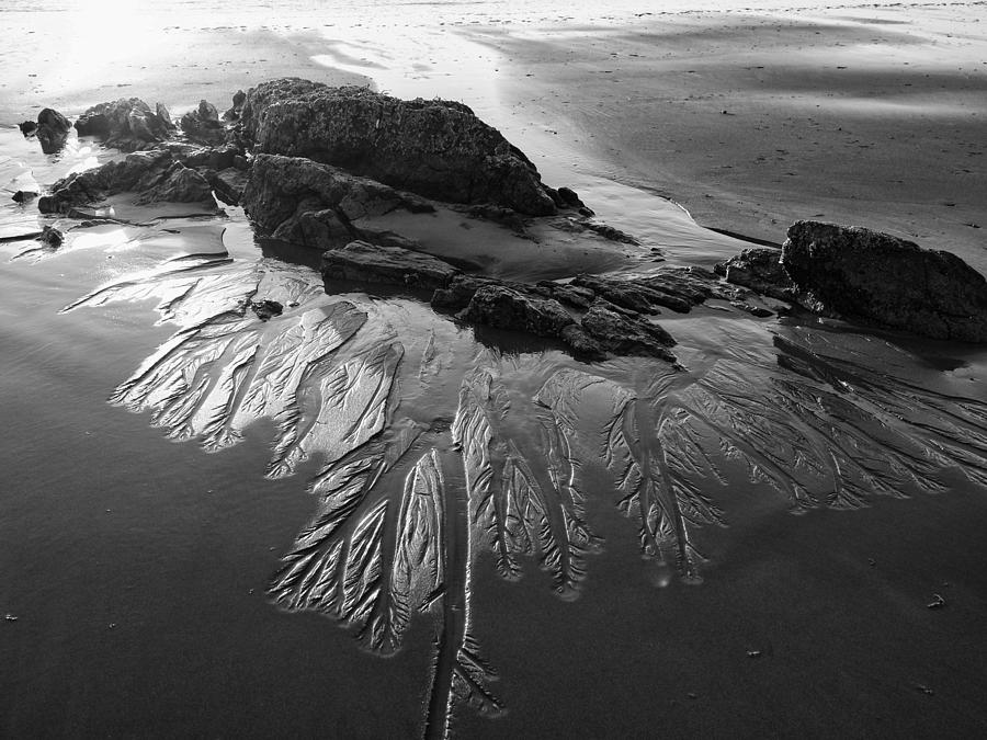Sand Traces by Pamela Hodgdon Sand Traces by Pamela Hodgdon