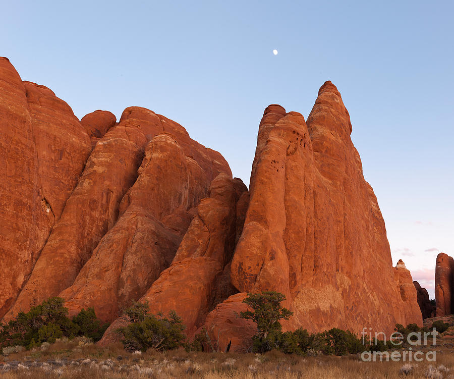 Sandstone Fins, Arches National Park #1 Photograph by John Shaw