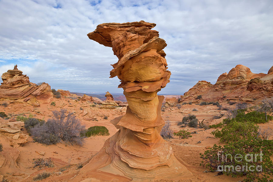 Sandstone Formation Vermillion Cliffs  Photograph by Yva Momatiuk John Eastcott