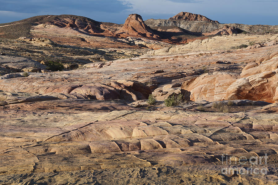 Sandstone Formations #1 Photograph by John Shaw