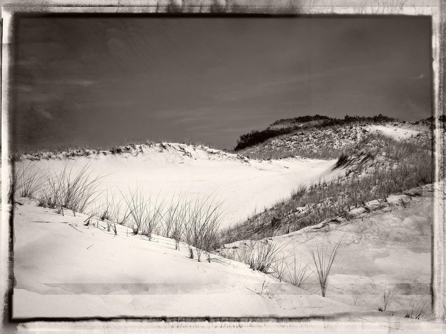 Sandy Neck Dunes #1 Photograph by Frank Winters