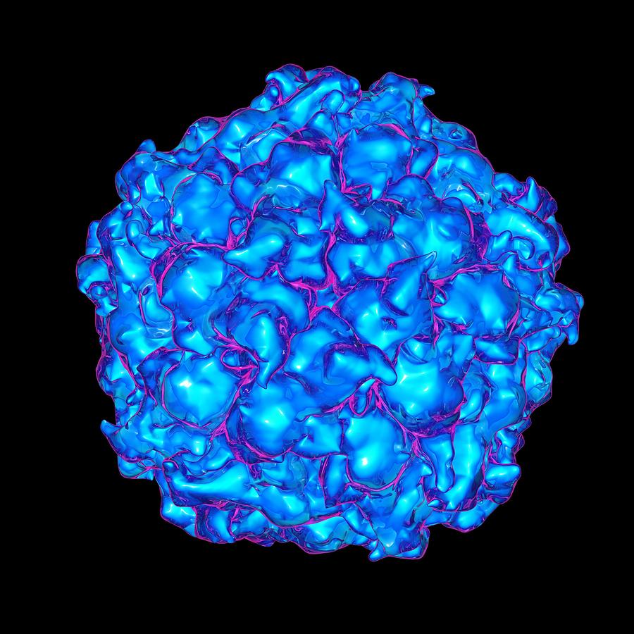 Satellite Panicum Mosaic Virus Photograph by Mehau Kulyk Fine Art America