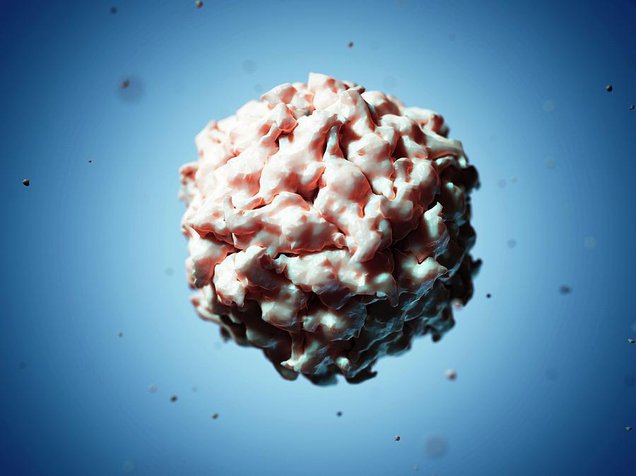 Satellite Panicum Mosaic Virus #1 Photograph by Sciepro/science Photo Library