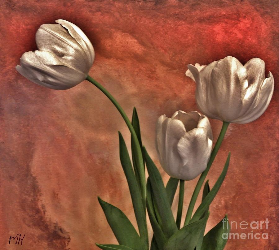 Tulip Photograph - Satin Tulips #1 by Marsha Heiken