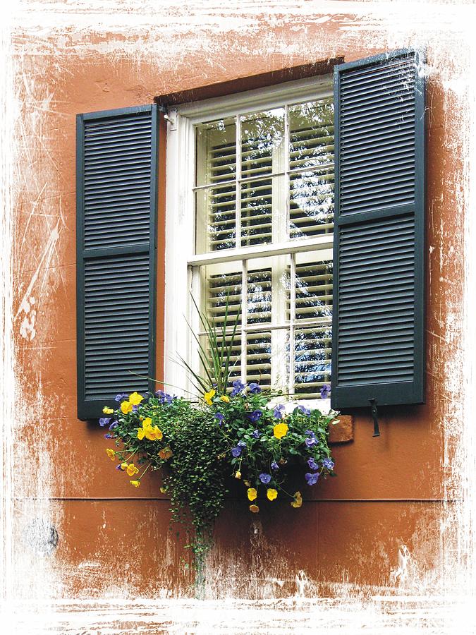 Savannah Window Box #1 Photograph by Joe Duket