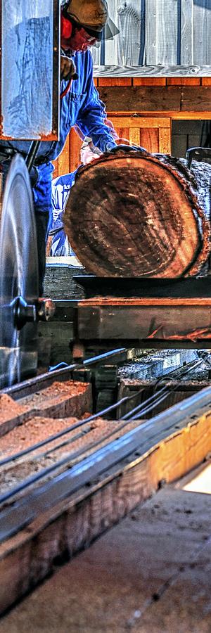 Saw Mill 23159 P Photograph