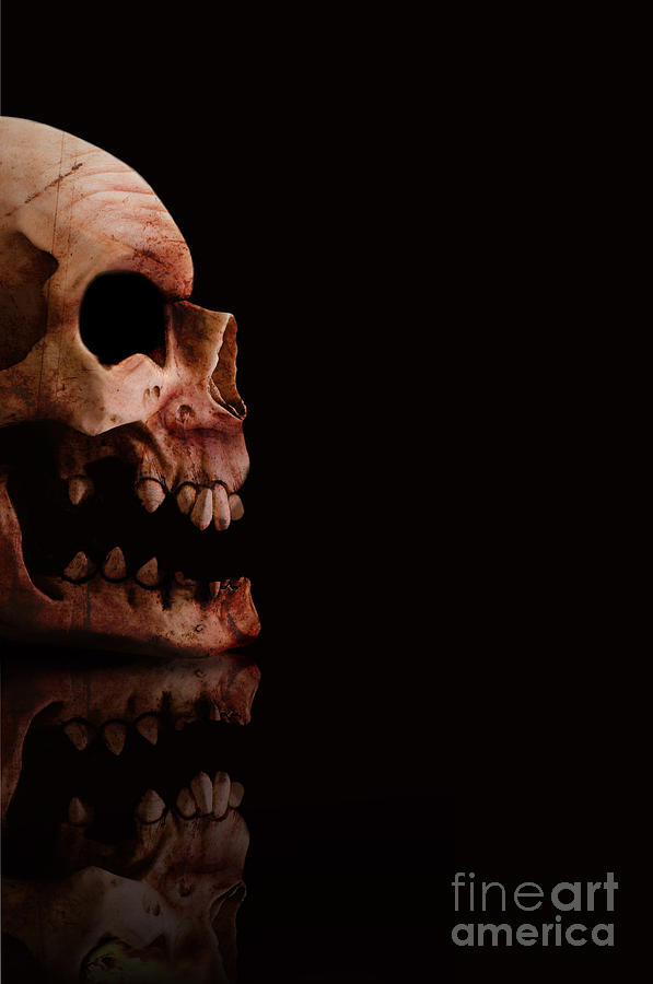 Scary Skull #1 Photograph by Jorgo Photography