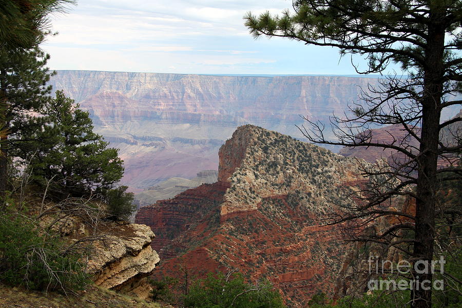 Scenic Grand Canyon Photograph by Christiane Schulze Art And Photography