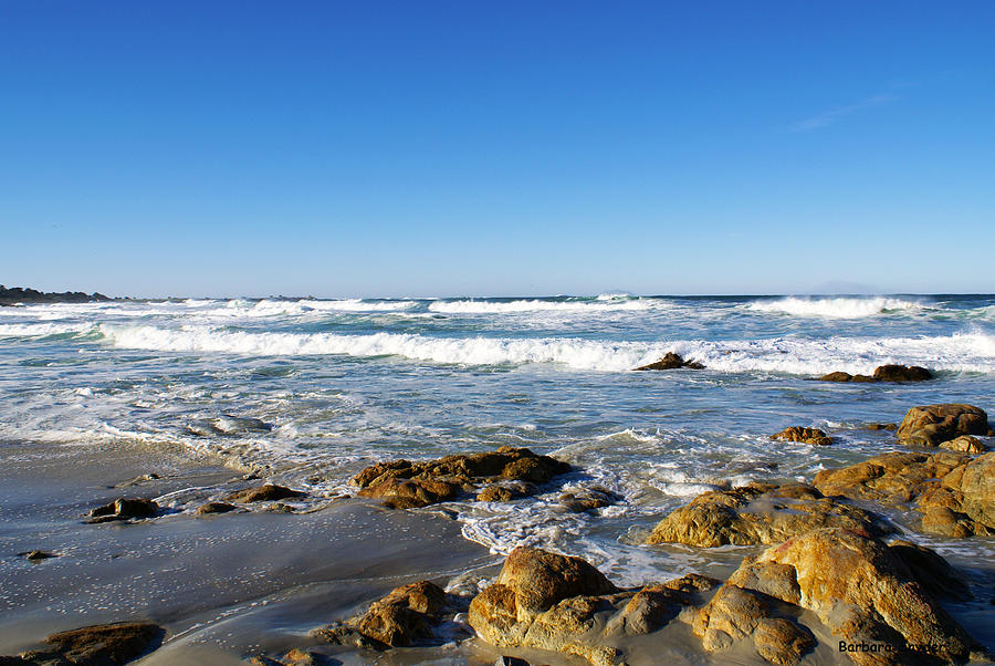Scenic View Along 17 Mile Drive Photograph