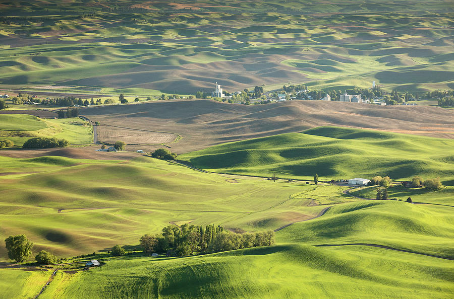 Scenic View Of Rolling Hills In Palouse Photograph by Evgeny Vasenev ...