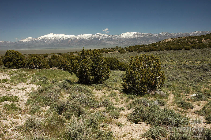 618P Schell Creek Range NV Photograph by NightVisions