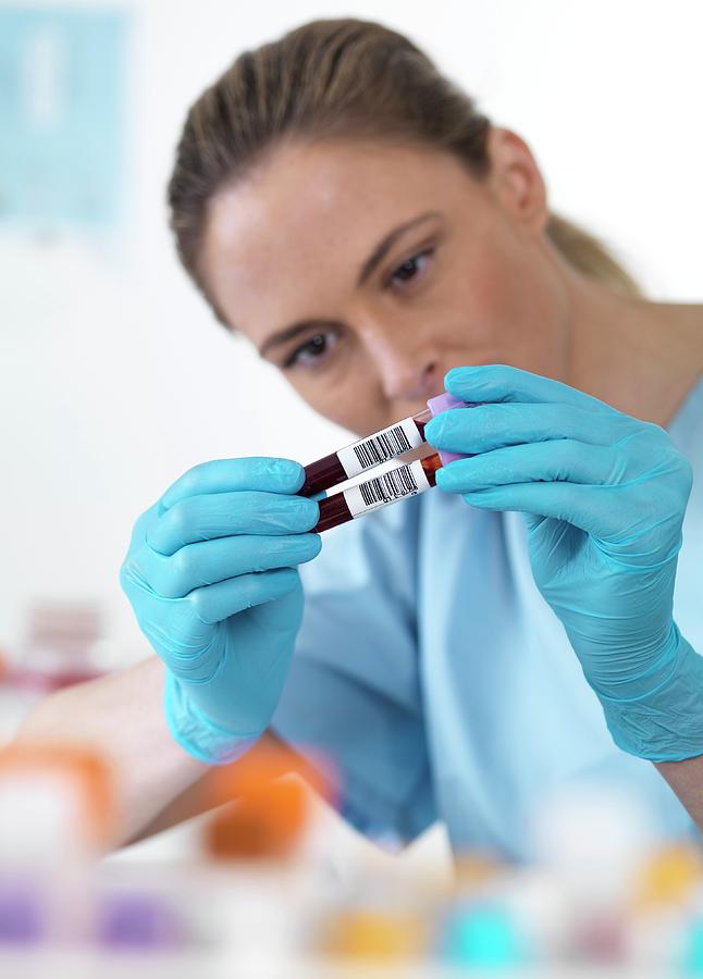 Scientist With Blood Samples Photograph by Tek Image