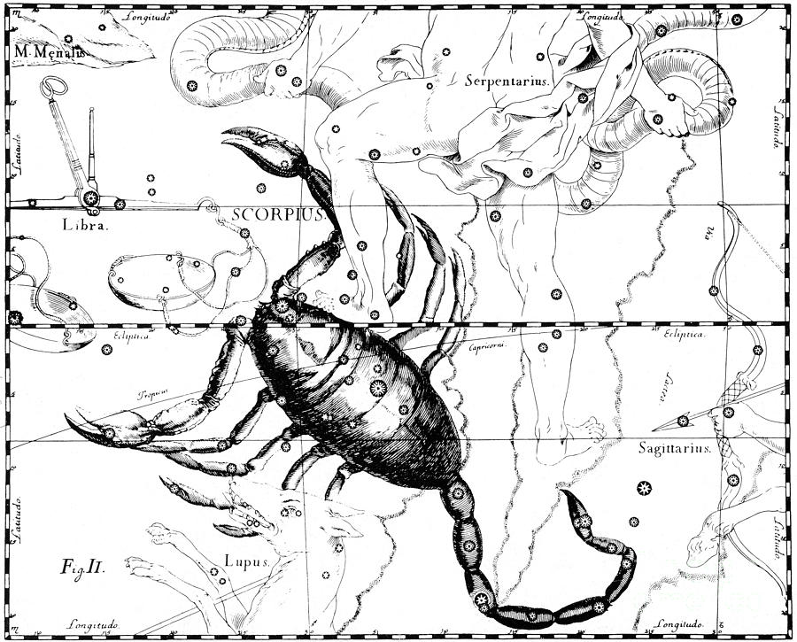Sign Photograph - Scorpius Constellation Zodiac Sign #2 by Science Source