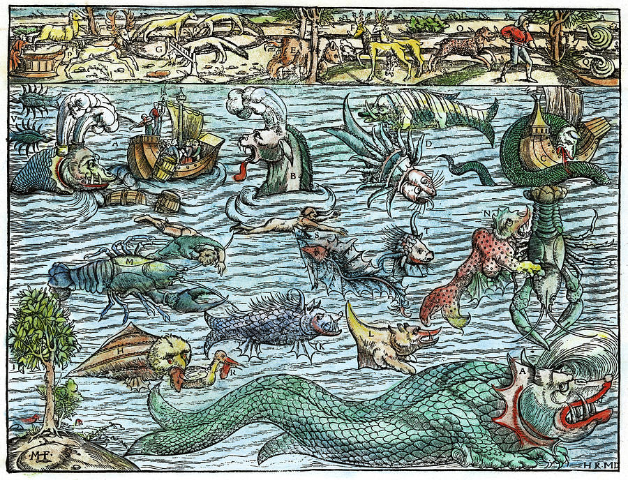 Sea Monsters, 1550 #1 Painting by Granger