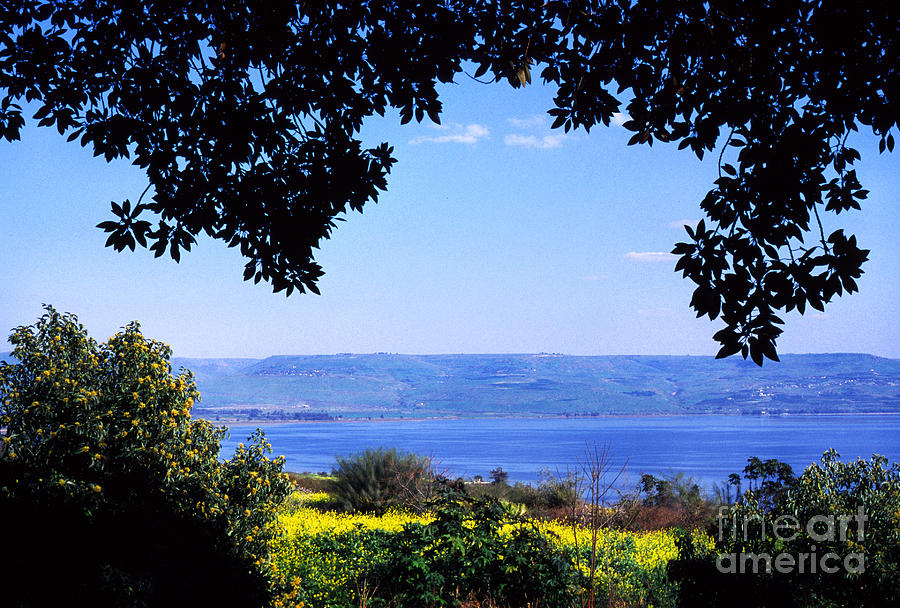 Sea of Galilee from Mount of the Beatitudes #1 Photograph by Thomas R Fletcher