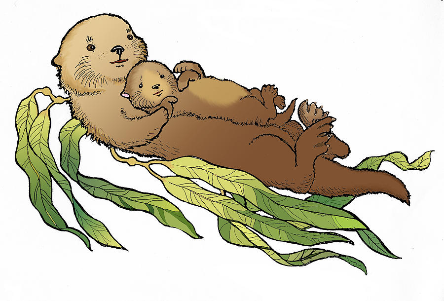 sea otter clip art