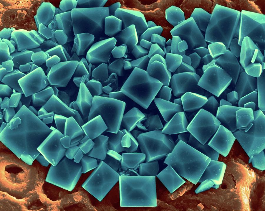 Sea Salt Crystals #1 Photograph by Dennis Kunkel Microscopy/science Photo Library