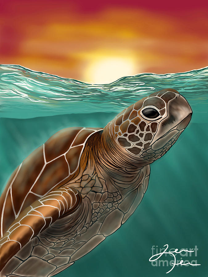 Sea Turtle Digital Art by Jennifer Lee - Fine Art America