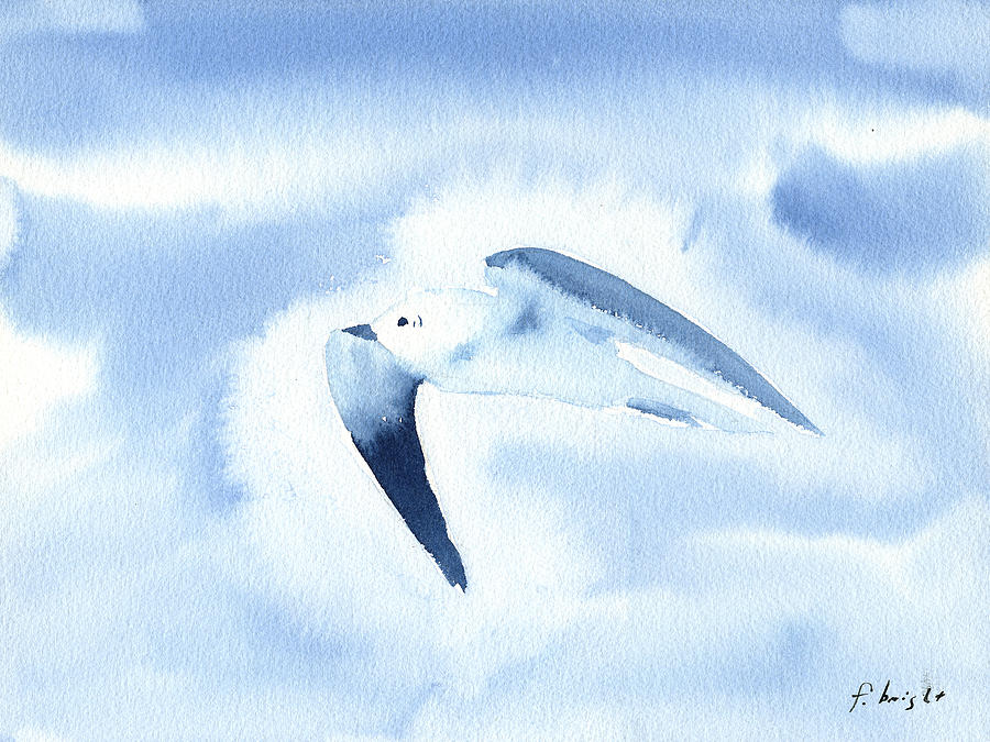 Seagull Painting by Frank Bright