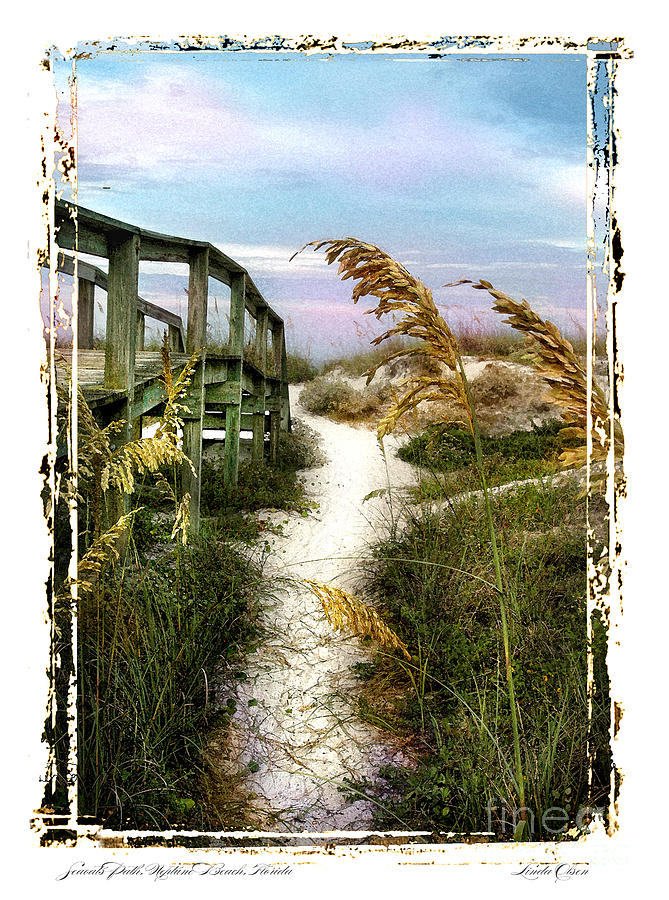 Seaoats Path #1 Photograph by Linda Olsen